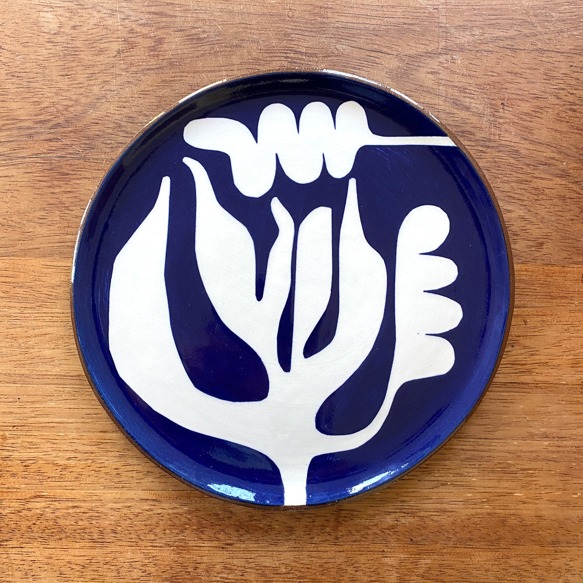 Blue and white seaweed