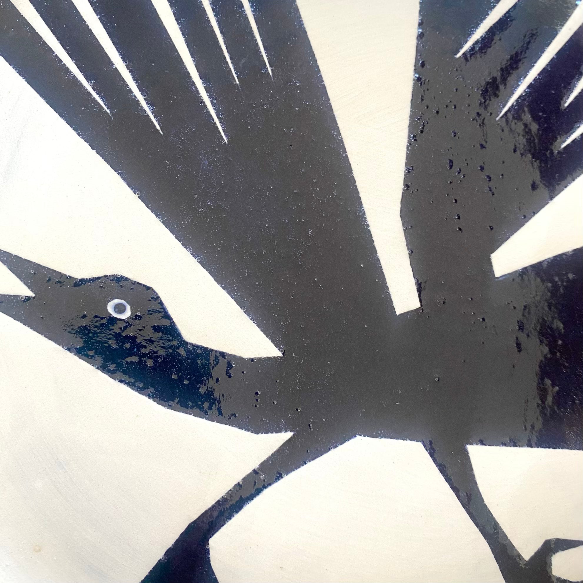 Jackdaw on the go