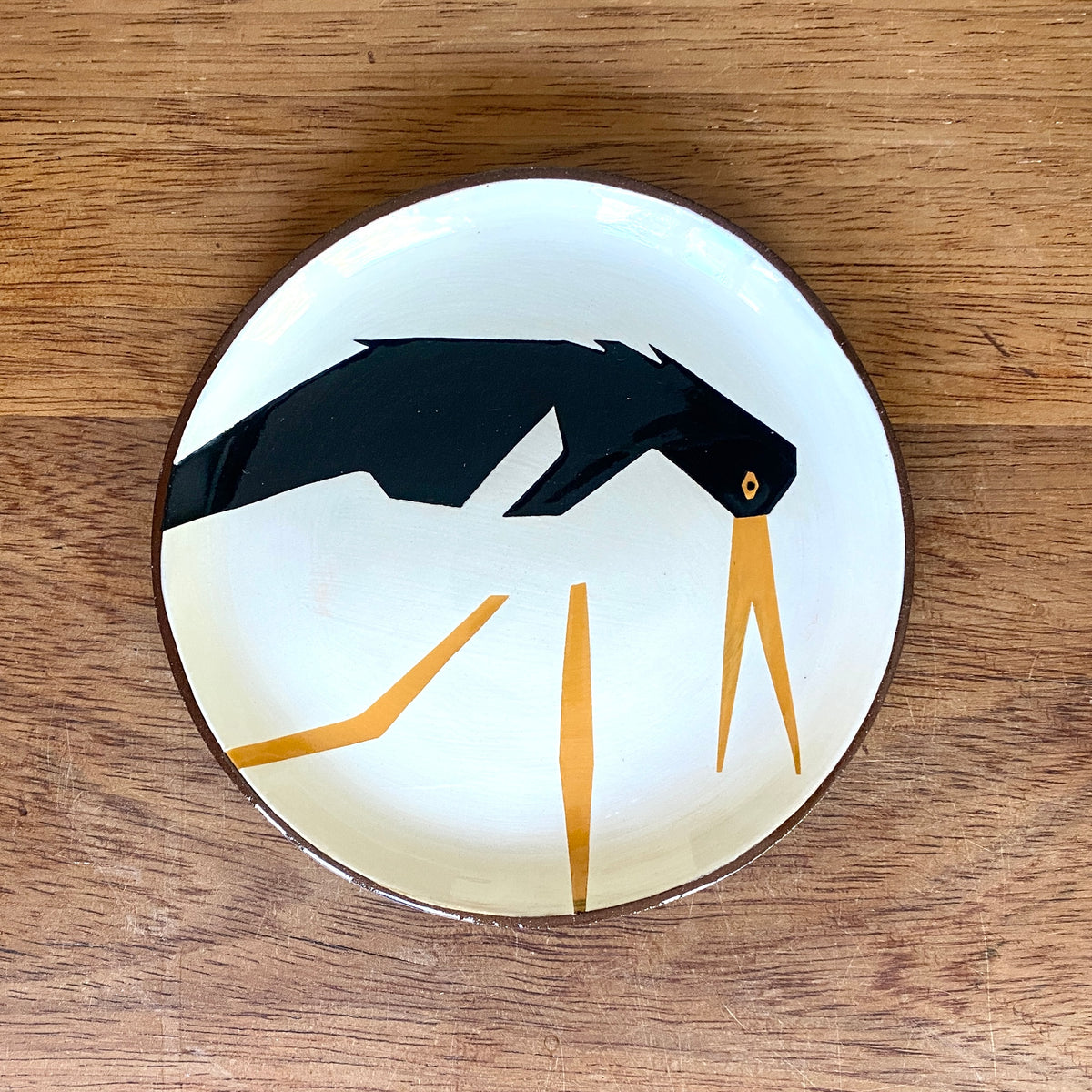 Oystercatcher facing