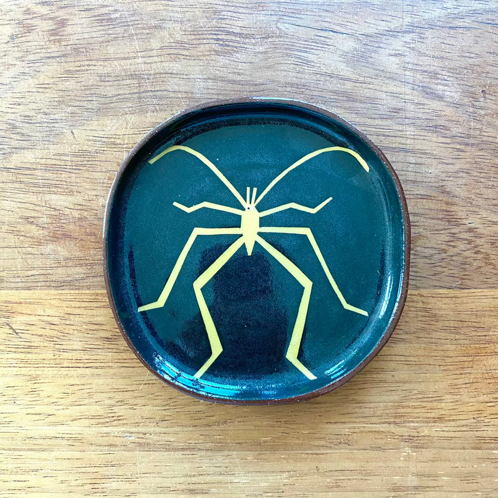 Little insect plate